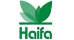 Haifa